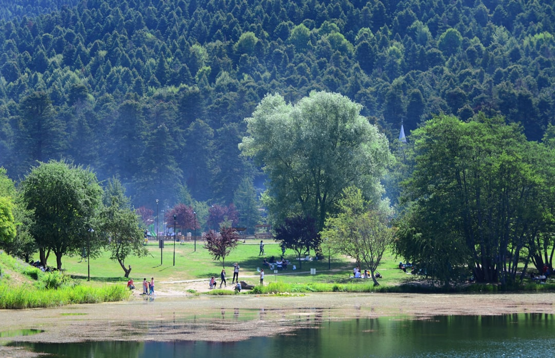 iPhone ve iPad tamiri — Bolu, Bolu