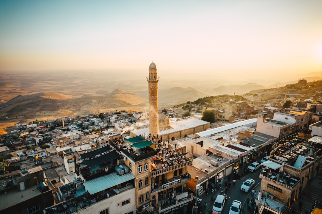 iPhone ve iPad tamiri — Mardin