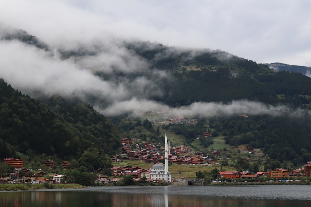 iPhone ve iPad tamiri — Trabzon